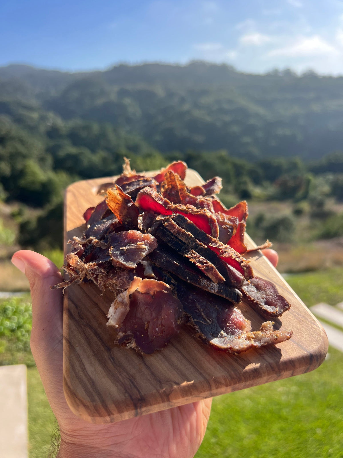 A hand holding a wooden board piled with sliced Raw Sintra biltong, green hills behind